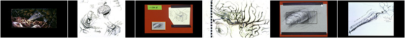 Brain Ride Pre-Production Images thumbstrip